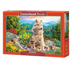 Puzzle New Generation 1000 C-104420