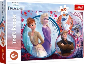 Puzzle 160 Frozen 2 Siostrzana przygoda
