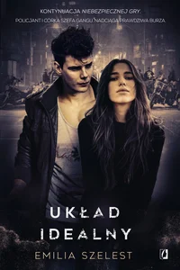 Układ idealny