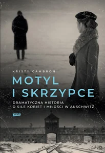 Motyl i skrzypce