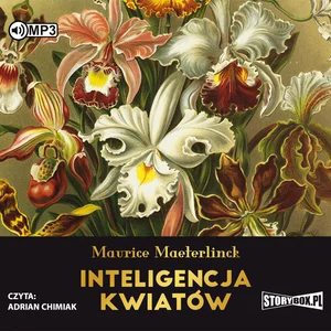 Miękka · 2020