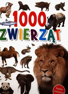 Miękka · 2020