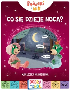 Co się dzieje nocą