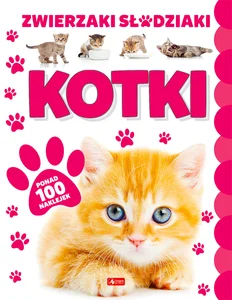 Kotki Kotki
