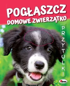 Pogłaszcz domowe zwierzątko Przytulki Pogłaszcz domowe zwierzątko Przytulki