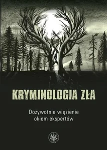 Kryminologia zła Dożywotnie więzienie okiem ekspertów