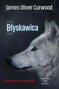 Błyskawica Błyskawica
