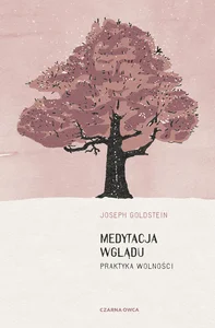 Medytacja wglądu Praktyka wolności