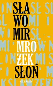 Słoń Słoń