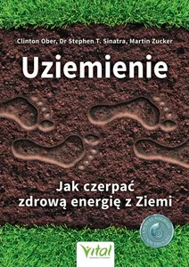 Uziemienie Uziemienie