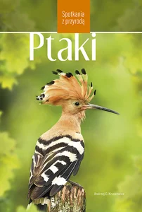 Ptaki Spotkania z przyrodą Ptaki Spotkania z przyrodą