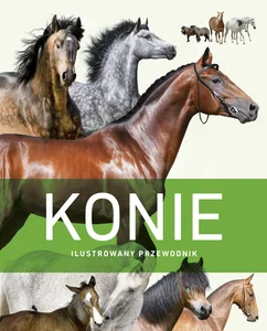 Konie