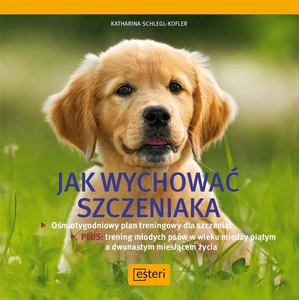Jak wychować szczeniaka Jak wychować szczeniaka