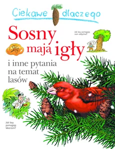 Ciekawe dlaczego sosny mają igły Ciekawe dlaczego sosny mają igły