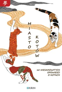 Miasto kotów Miasto kotów