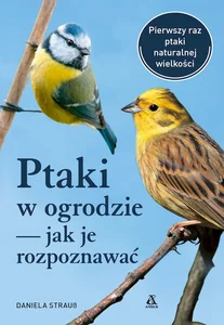 Miękka ze skrzydełkami · 2022
