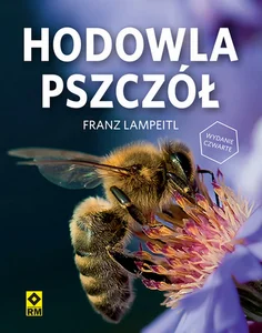 Miękka · 2022