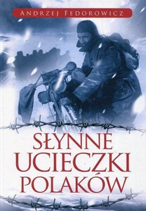 Miękka ze skrzydełkami · 2018