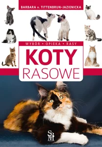 Koty rasowe Wybór opieka rasy
