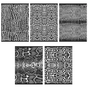 Zeszyt A5/80K linia Snakes 1 (5szt)
