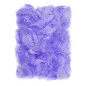 Piórka liliowe 5-12 cm 10g