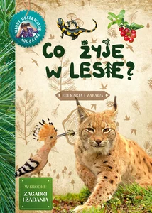 Co żyje w lesie