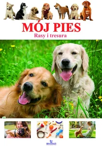 Mój pies Rasy i tresura