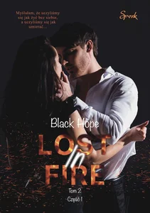 Lost in fire Lost in fire