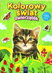 Kolorowy świat zwierzątek. Kotek Kolorowy świat zwierzątek. Kotek