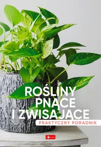 Miękka · 2023