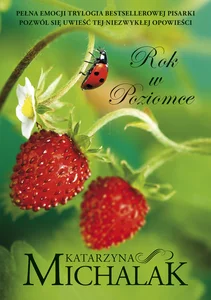 Rok w poziomce