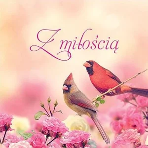 Z miłością Z miłością