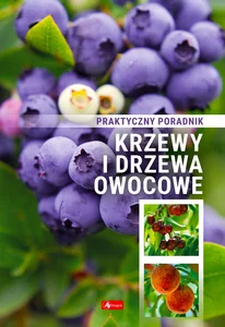 Miękka · 2023