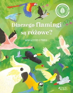 Dlaczego flamingi są różowe Wiem wszystko o ptakach.