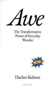 Awe The Transformative Power of Everyday Wonder