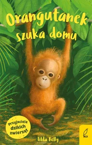 Przyjaciele dzikich zwierząt Orangutanek szuka domu Przyjaciele dzikich zwierząt Orangutanek szuka domu