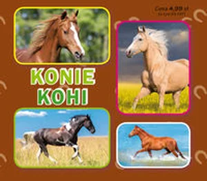 Konie. Коні Harmonijka mała