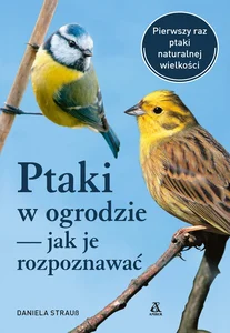 Miękka ze skrzydełkami · 2023