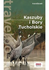 Miękka ze skrzydełkami · 2023