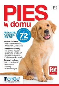 Pies w domu Pies w domu
