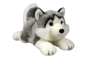 Husky leżący 34cm