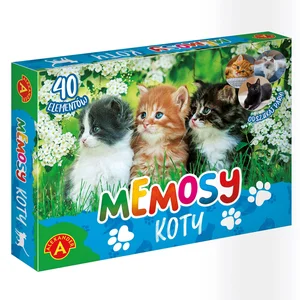 Pamięć Memosy Koty