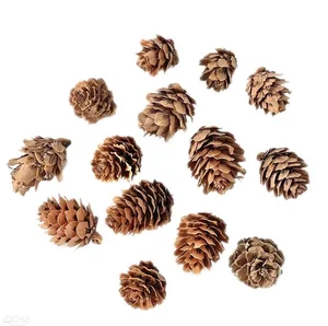 Mini szyszki 25g Mini szyszki 25g