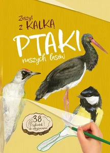 Ptaki naszych lasów Zeszyt z kalką Ptaki naszych lasów Zeszyt z kalką