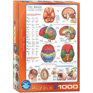 Puzzle 1000 The Brain 6000-0256 Puzzle 1000 The Brain 6000-0256