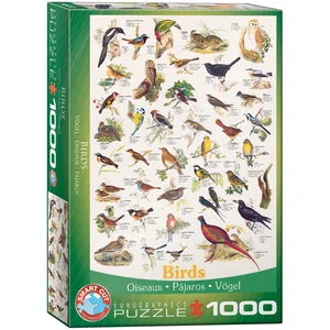 Puzzle 1000 Birds 6000-1259 Puzzle 1000 Birds 6000-1259