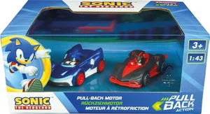 Team Sonic Racing - Sonic vs. Shadow Twinpack Team Sonic Racing - Sonic vs. Shadow Twinpack