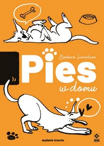 Pies w domu Pies w domu