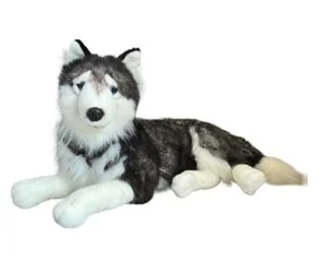 Husky leżący 60cm Husky leżący 60cm