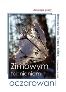 Zimowym tchnieniem oczarowani Zimowym tchnieniem oczarowani